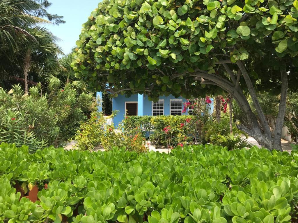 Sandy'S Secret Caye Caulker Bagian luar foto