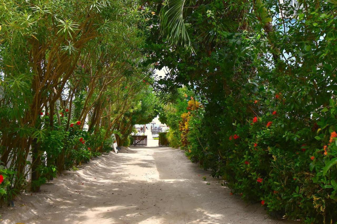 Sandy'S Secret Caye Caulker Bagian luar foto