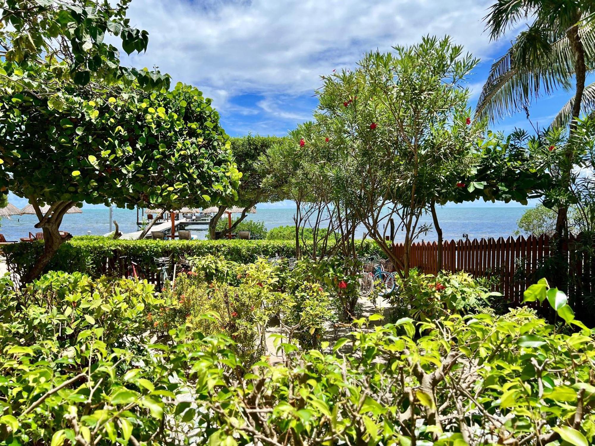 Sandy'S Secret Caye Caulker Bagian luar foto